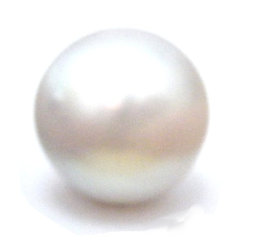 White South Sea 14.5mm Button Pearl
